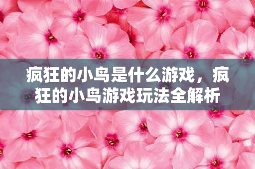 疯狂的小鸟是什么游戏，疯狂的小鸟游戏玩法全解析