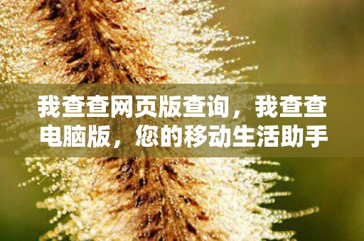 我查查网页版查询,我查查电脑版,您的移动生活助手 我查查网页版查询,我查查电脑版,您的移动生活助手