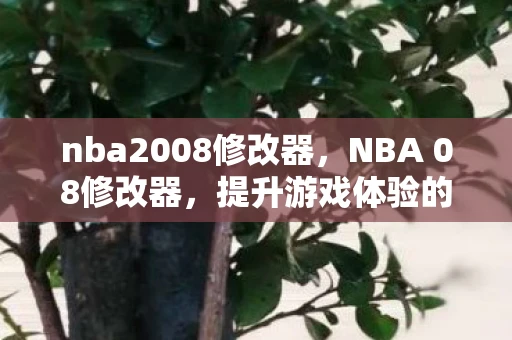 nba2008修改器，NBA 08修改器，提升游戏体验的必备工具