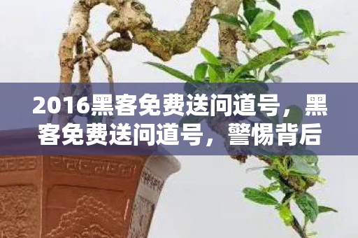 2016黑客免费送问道号，黑客免费送问道号，警惕背后的风险与非法行为