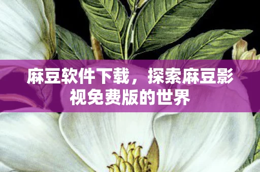 探索麻豆影视免费版的世界图片