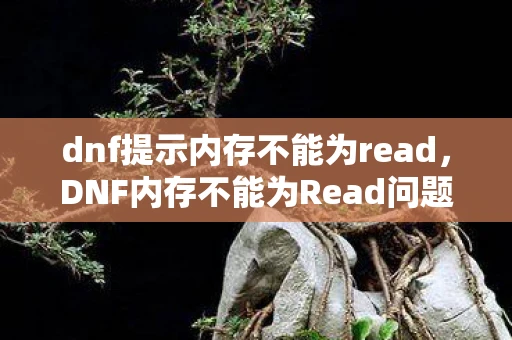 dnf提示内存不能为read,DNF内存不能为Read问题解析与游戏相关内容探讨 dnf提示内存不能为read,DNF内存不能为Read问题解析与游戏相关内容探讨