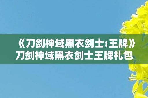 《刀剑神域黑衣剑士:王牌》刀剑神域黑衣剑士王牌礼包码，游戏玩家的福利盛宴