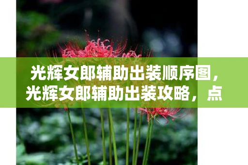 光辉女郎辅助出装顺序图，光辉女郎辅助出装攻略，点亮团队之光，助力胜利之路