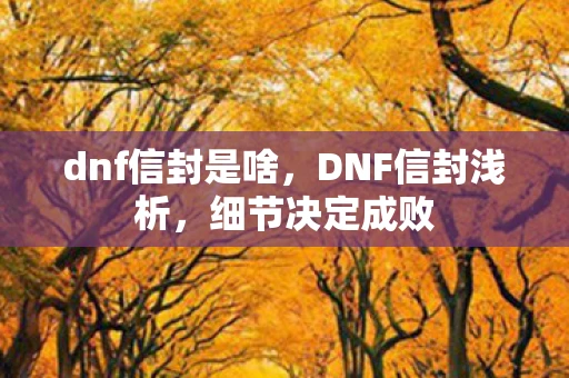 dnf信封是啥,DNF信封浅析,细节决定成败 dnf信封是啥,DNF信封浅析,细节决定成败
