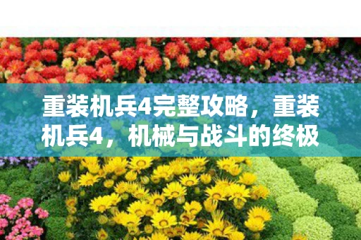 重装机兵4完整攻略，重装机兵4，机械与战斗的终极融合