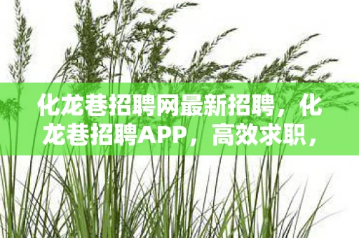 化龙巷招聘网最新招聘，化龙巷招聘APP，高效求职，一键触达理想职位