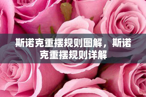 斯诺克重摆规则图解,斯诺克重摆规则详解 斯诺克重摆规则图解,斯诺克重摆规则详解