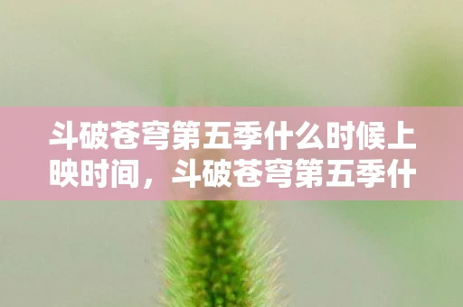 斗破苍穹第五季什么时候上映时间，斗破苍穹第五季什么时候上映？揭秘上映时间与剧情看点