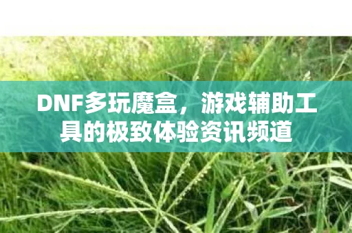 游戏辅助工具的极致体验资讯频道图片