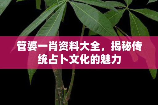 管婆一肖资料大全，揭秘传统占卜文化的魅力