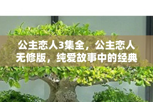 公主恋人3集全,公主恋人无修版,纯爱故事中的经典之作 公主恋人3集全,公主恋人无修版,纯爱故事中的经典之作