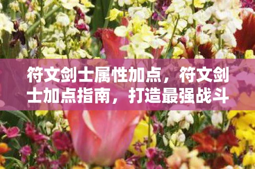 符文剑士属性加点，符文剑士加点指南，打造最强战斗力的关键