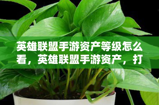 英雄联盟手游资产等级怎么看，英雄联盟手游资产，打造你的游戏财富