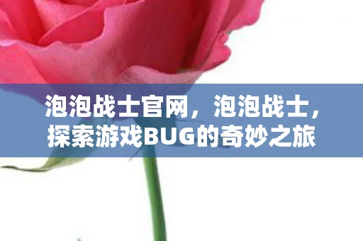 泡泡战士官网,泡泡战士,探索游戏BUG的奇妙之旅 泡泡战士官网,泡泡战士,探索游戏BUG的奇妙之旅