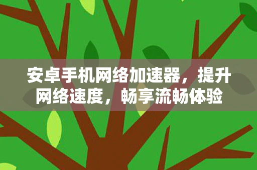安卓手机网络加速器，提升网络速度，畅享流畅体验