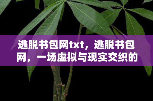 逃脱书包网txt，逃脱书包网，一场虚拟与现实交织的冒险