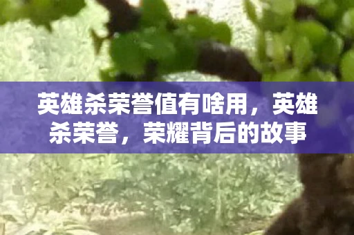 英雄杀荣誉值有啥用，英雄杀荣誉，荣耀背后的故事