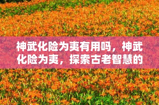 神武化险为夷有用吗,神武化险为夷,探索古老智慧的现代应用 神武化险为夷有用吗,神武化险为夷,探索古老智慧的现代应用
