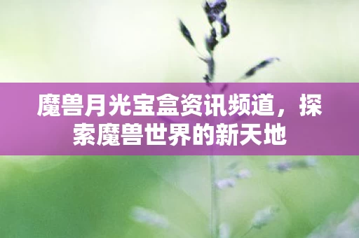 魔兽月光宝盒资讯频道图片