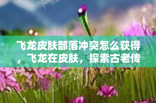 飞龙皮肤部落冲突怎么获得，飞龙在皮肤，探索古老传说中的神秘生物
