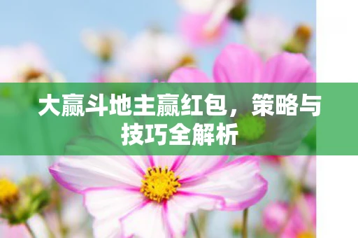 大赢斗地主赢红包，策略与技巧全解析