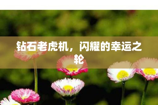 钻石老虎机，闪耀的幸运之轮