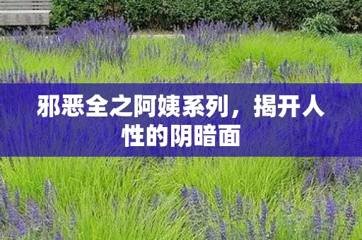 邪恶全之阿姨系列，揭开人性的阴暗面