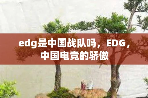 edg是中国战队吗,EDG,中国电竞的骄傲 edg是中国战队吗,EDG,中国电竞的骄傲
