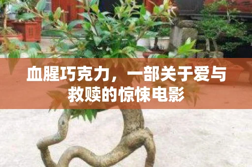 血腥巧克力，一部关于爱与救赎的惊悚电影