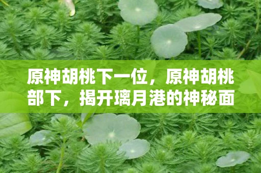 原神胡桃下一位,原神胡桃部下,揭开璃月港的神秘面纱 原神胡桃下一位,原神胡桃部下,揭开璃月港的神秘面纱