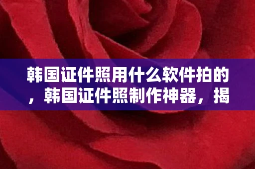 韩国证件照用什么软件拍的,韩国证件照制作神器,揭秘韩国人常用的拍照软件 韩国证件照用什么软件拍的,韩国证件照制作神器,揭秘韩国人常用的拍照软件