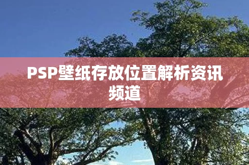PSP壁纸存放位置解析资讯频道图片