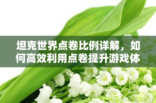 坦克世界点卷比例详解，如何高效利用点卷提升游戏体验