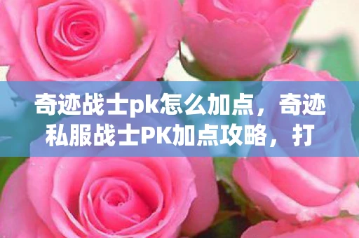 奇迹战士pk怎么加点，奇迹私服战士PK加点攻略，打造无敌战士