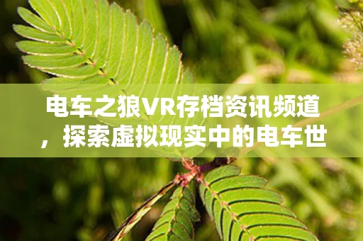 电车之狼VR存档资讯频道图片