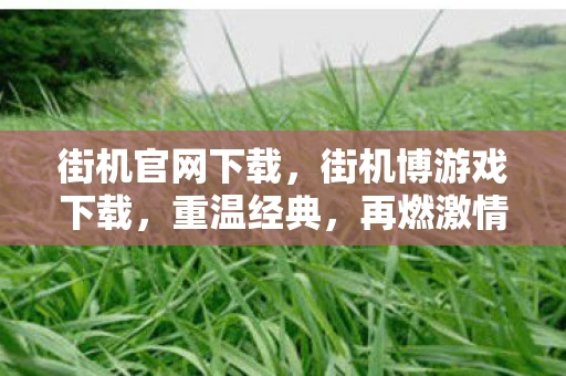 街机官网下载,街机博游戏下载,重温经典,再燃激情 街机官网下载,街机博游戏下载,重温经典,再燃激情
