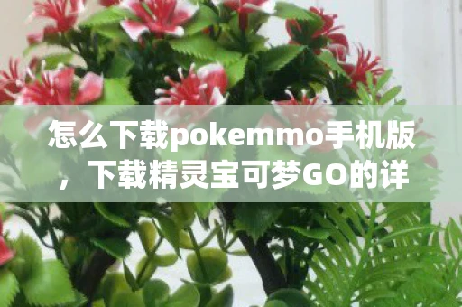 怎么下载pokemmo手机版,下载精灵宝可梦GO的详细步骤 怎么下载pokemmo手机版,下载精灵宝可梦GO的详细步骤