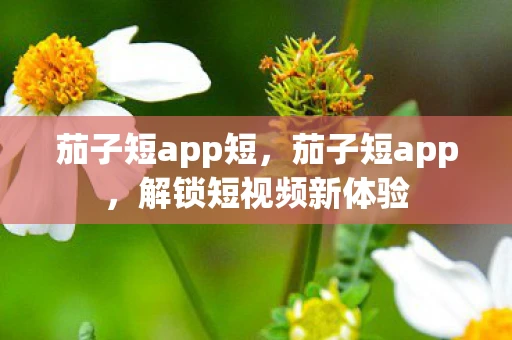 茄子短app短，茄子短app，解锁短视频新体验