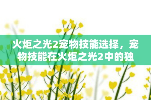 火炬之光2宠物技能选择,宠物技能在火炬之光2中的独特魅力 火炬之光2宠物技能选择,宠物技能在火炬之光2中的独特魅力