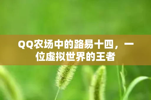 QQ农场中的路易十四图片
