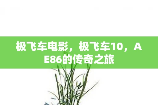 极飞车电影,极飞车10,AE86的传奇之旅 极飞车电影,极飞车10,AE86的传奇之旅