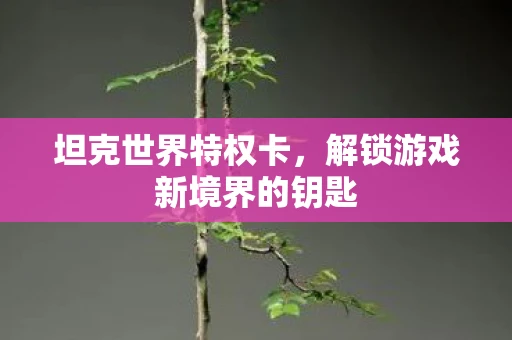 坦克世界特权卡，解锁游戏新境界的钥匙