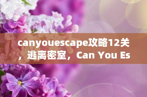 canyouescape攻略12关，逃离密室，Can You Escape攻略指南