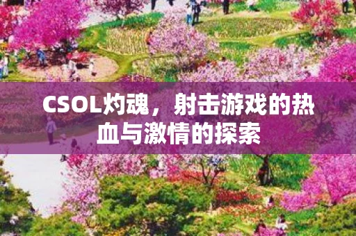 射击游戏的热血与激情的探索图片