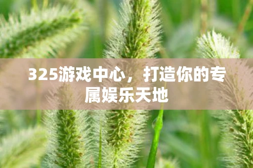 325游戏中心,打造你的专属娱乐天地 325游戏中心,打造你的专属娱乐天地