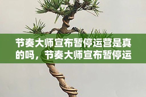 节奏大师宣布暂停运营是真的吗,节奏大师宣布暂停运营,音乐游戏市场何去何从? 节奏大师宣布暂停运营是真的吗,节奏大师宣布暂停运营,音乐游戏市场何去何从?