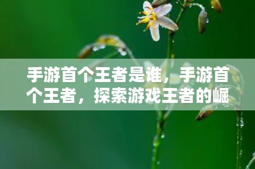 手游首个王者是谁，手游首个王者，探索游戏王者的崛起之路