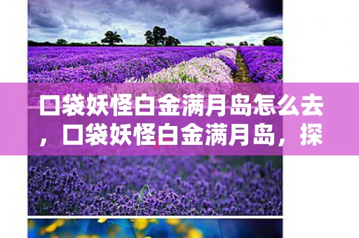 口袋妖怪白金满月岛怎么去，口袋妖怪白金满月岛，探索神秘岛屿的奇妙之旅