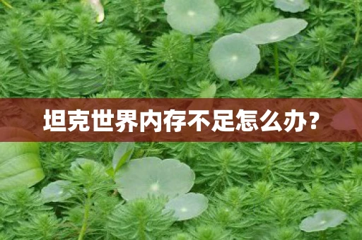 坦克世界内存不足怎么办？